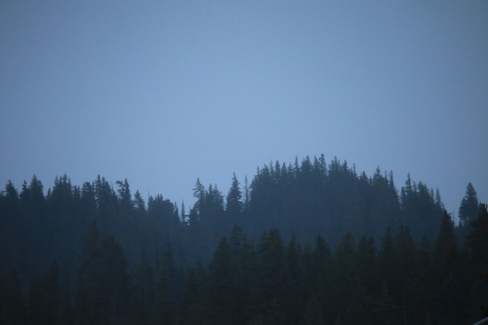 Forested ridgeline fading into blue evening mist