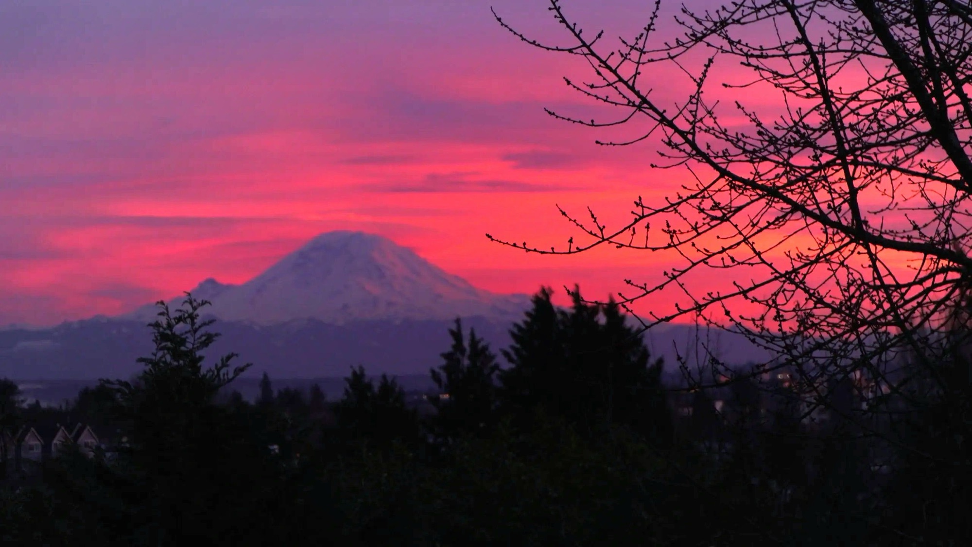 Mount Rainier silhouetted against a pink and violet afterglow