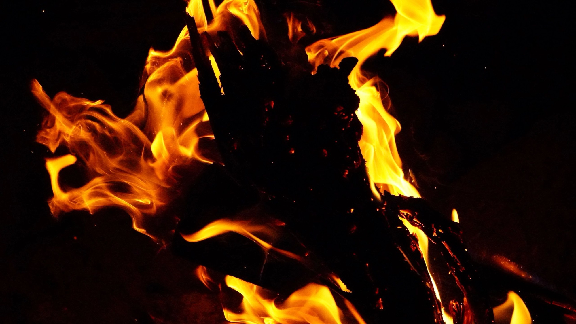 Close study of campfire flames against the dark