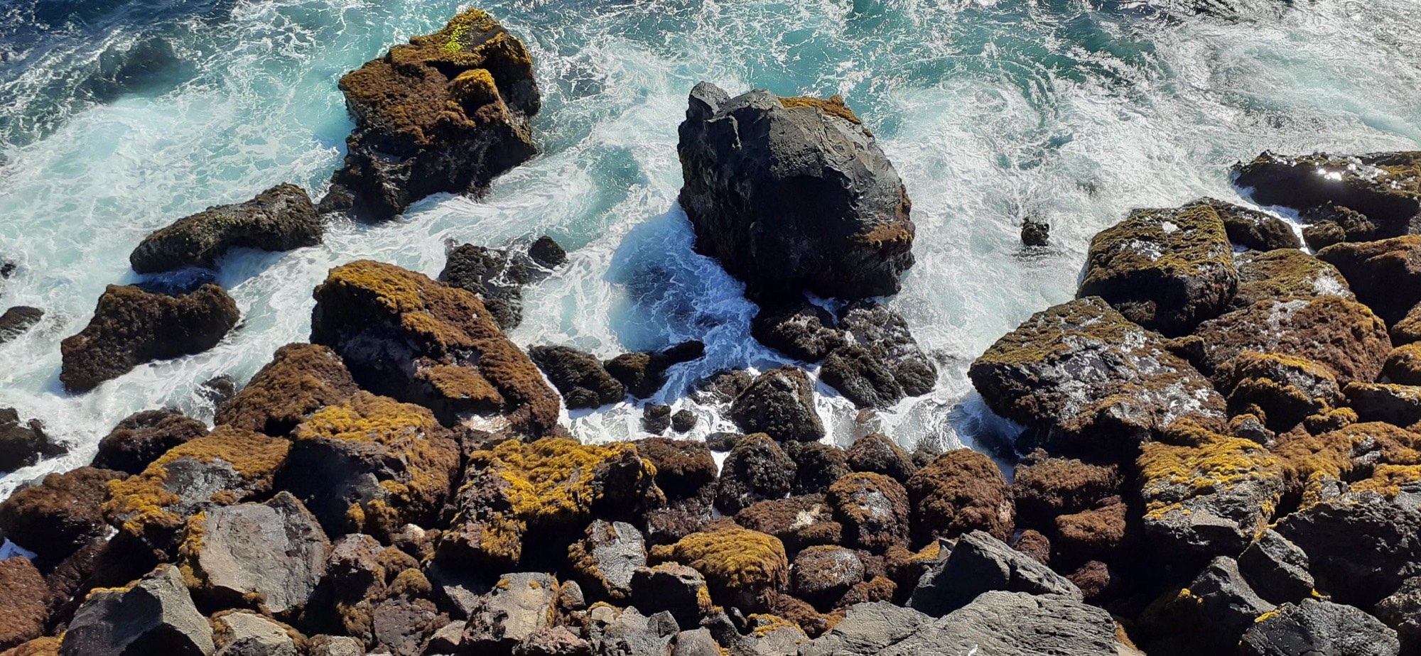 Waves breaking over mossy shoreline boulders